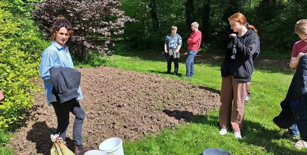 Nachhaltigkeitsprojekt „Wildblumenwiese“
