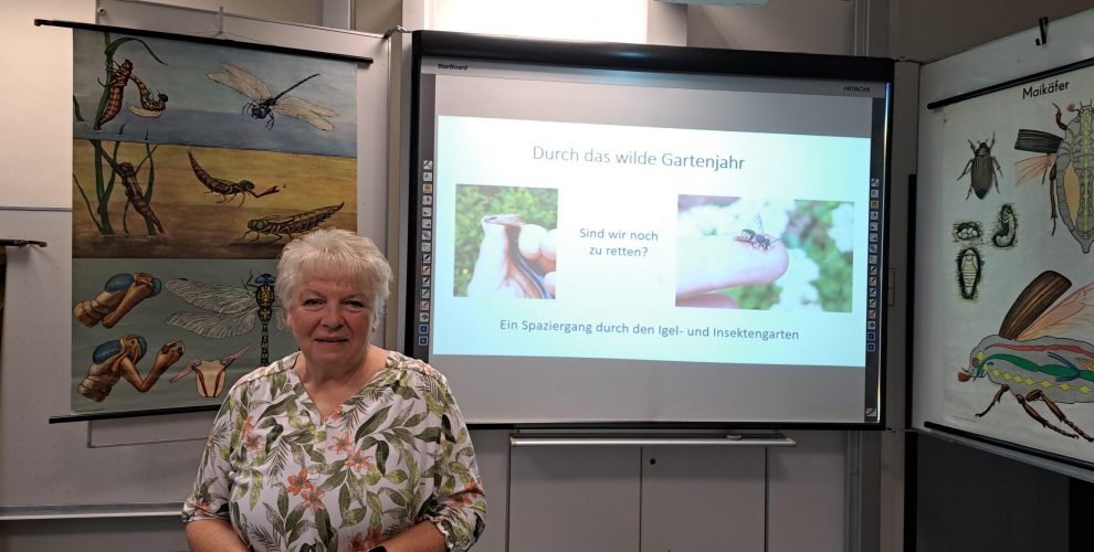 Gerlinde Dormeier (selbsternannte Insektenliebhaberin und NABU-Mitglied bei ihrem Vortrag über Wildbienen und Insekten)